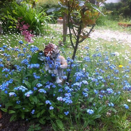 Les 3 Roses Bed & Breakfast Villeneuve-sur-Yonne Exterior foto