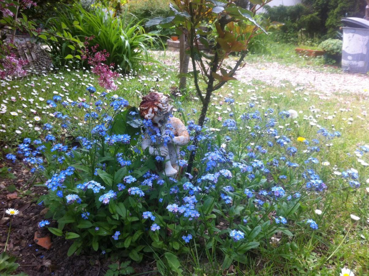 Les 3 Roses Bed & Breakfast Villeneuve-sur-Yonne Exterior foto